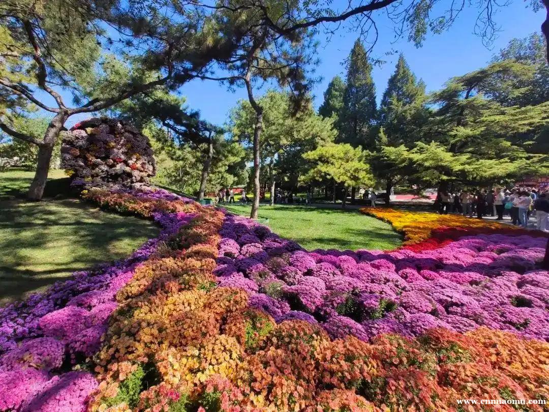 “公园+”激活花园经济 朝阳花园节3月20日启幕