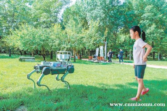 35款园林机器人亮相北京海淀公园