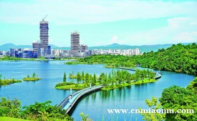 城市公园有了哪些“新玩法”