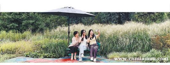 绿色阅兵观礼椅“落户”北京6家公园